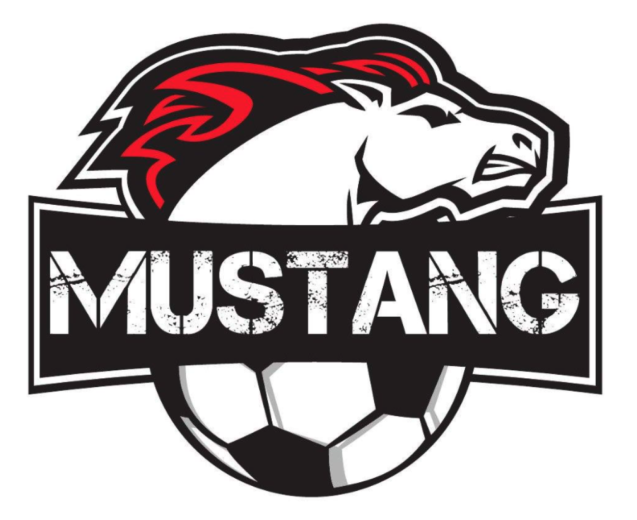 Mustang soccer