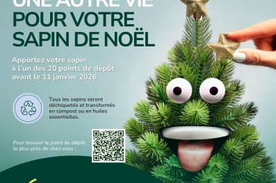 Recolo QR Sapins 2026